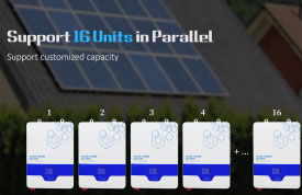 Batteria solare al litio Lifepo4 da 25,6 V 51,2 V (LPB-N)